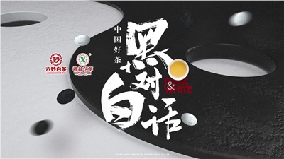 首屆黑白對(duì)話高峰論壇圓滿落幕！湘益茯茶備受關(guān)注！