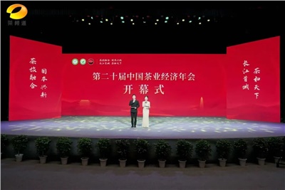 【聚焦第二十屆中國茶業(yè)經(jīng)濟(jì)年會】益陽茶廠榮獲“民族團(tuán)結(jié)互助企業(yè)”、“2024年度茶業(yè)重點(diǎn)企業(yè)”榮譽(yù)稱號
